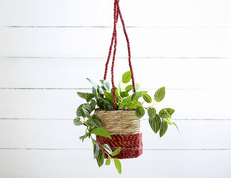 Artisan Hanging Plant Basket, Wildlife World