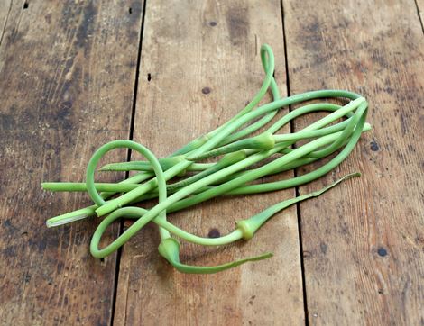 garlic scapes