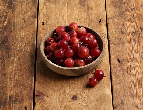 english gooseberries