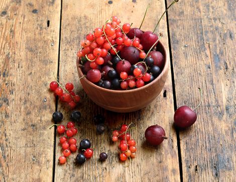 english summer fruit mix