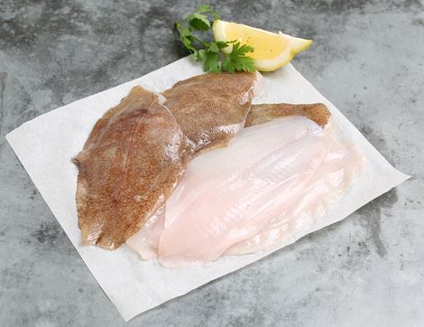 wild lemon sole fillets sole of discretion