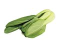 Pak Choi