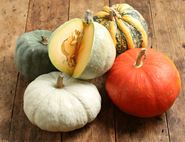 large speciality squash