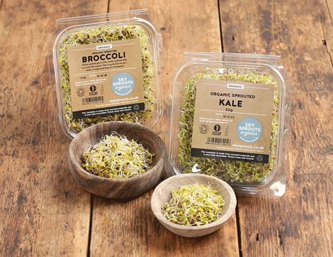 one of each sky sprouts (broccoli & kale) sky sprouts