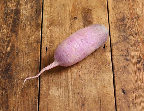 Blue Meat Radish, Organic (400g)
