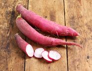 red radish