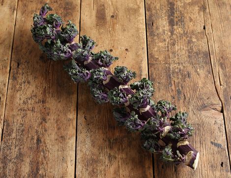 kalettes on stalk