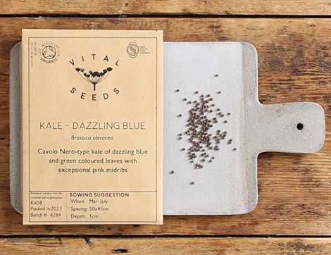 kale seeds dazzling blue vital seeds
