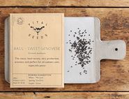 basil seeds sweet genovese vital seeds