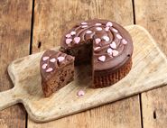 chocolate fudge cake meg rivers