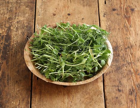 nutri salad mix aconbury sprouts