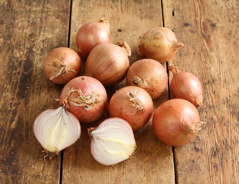 pink onions