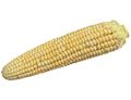 Two-Tone Sweetcorn Two-Tone Sweetcorn