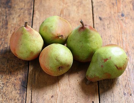 red bartlett pears