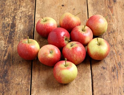 scrumptious apples