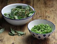 Wild Sea Purslane Pesto