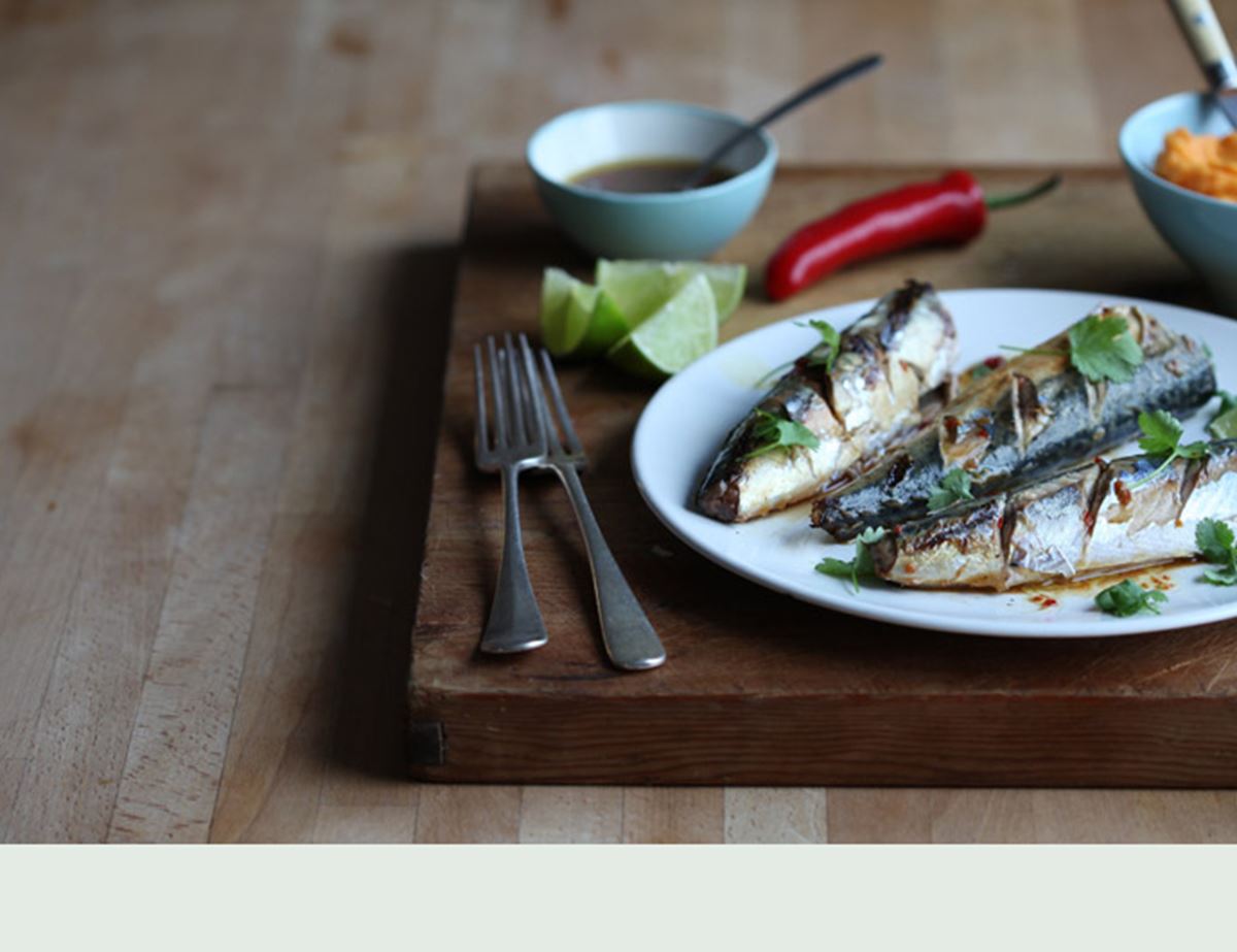 Honey Soy Mackerel