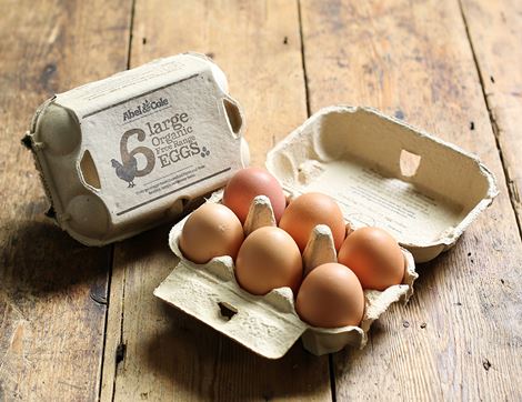 Eggs, Organic Free Range (6 large)
