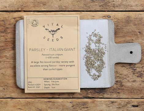 italian giant parsley seeds vital seeds