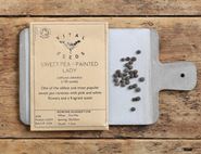 painted lady sweet pea seeds vital seeds