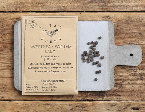 painted lady sweet pea seeds vital seeds