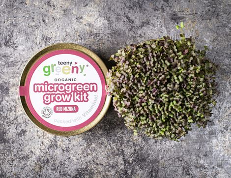 Microgreen Grow Kit, Red Mizuna, Organic, Teeny Greeny