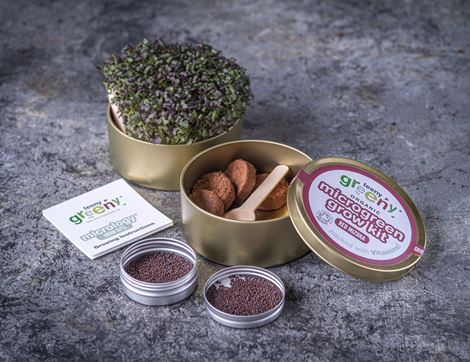 Microgreen Grow Kit, Red Mizuna, Organic, Teeny Greeny