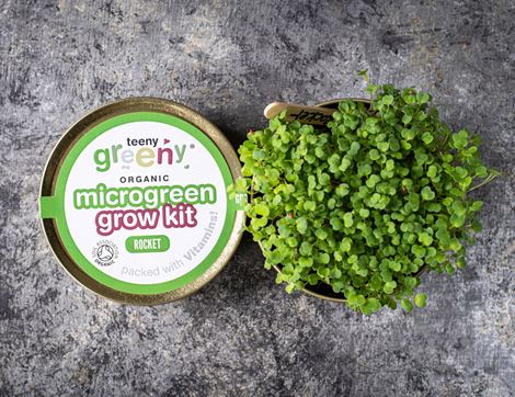 Microgreen Grow Kit, Rocket, Organic, Teeny Greeny