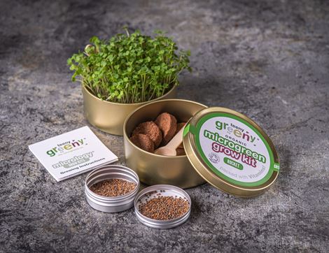 Microgreen Grow Kit, Rocket, Organic, Teeny Greeny