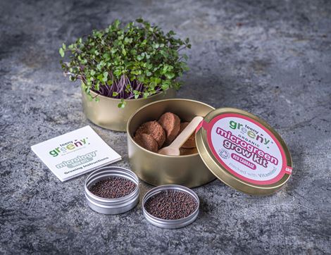 Microgreen Grow Kit, Red Cabbage, Organic, Teeny Greeny 