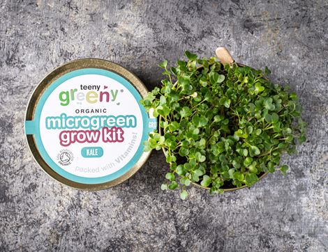 Microgreen Grow Kit, Kale, Organic, Teeny Greeny