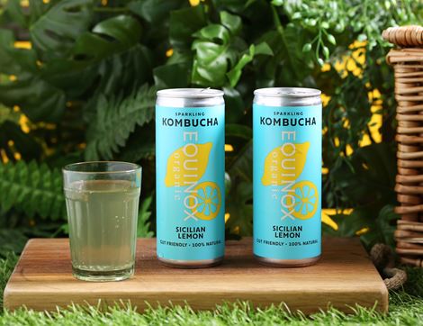Sicilian Lemon Kombucha, Organic, Equinox (250ml)
