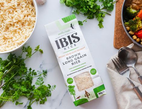 Brown Long Grain Rice, Organic, IBIS Rice (500g)