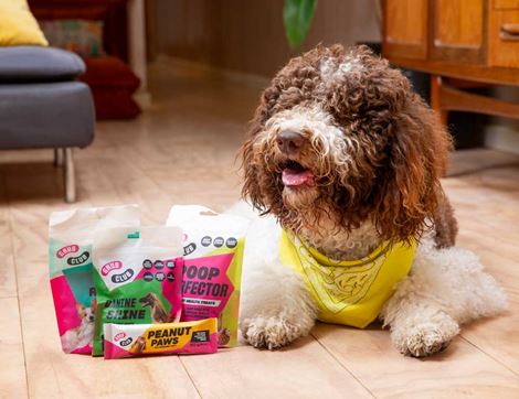 Skin, Coat & Joint Treats for Dogs, B Corp, Non-Organic, Grub Club (100g)