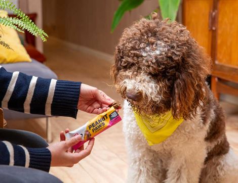 Peanut Butter Bar for Dogs, B Corp, Non-Organic, Grub Club (35g)