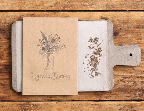 Ammi majus Flower Seeds, Organic, Organic Blooms