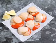 Limited Edition Hand-Dived Wild Scallops, The Fish Society (180g, pack of 6)