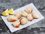Limited Edition Hand-Dived Wild Scallops, The Fish Society (180g, pack of 6)
