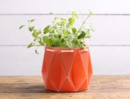 Self-Watering Origami Planter, Coral, POTR (11cm)
