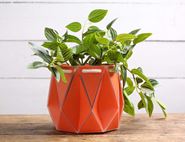 Self-Watering Origami Planter, Coral, POTR (15cm)