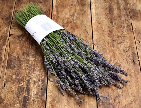Fresh English Lavender Bunch, Organic