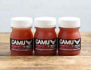 Camu Immunity + Energy Support Shot bundle, Non-Organic, B Corp, Rebel Kitchen  (3 x 60ml)