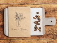 Lunaria Annua Seeds, Organic, Organic Blooms (approx 25 seeds)