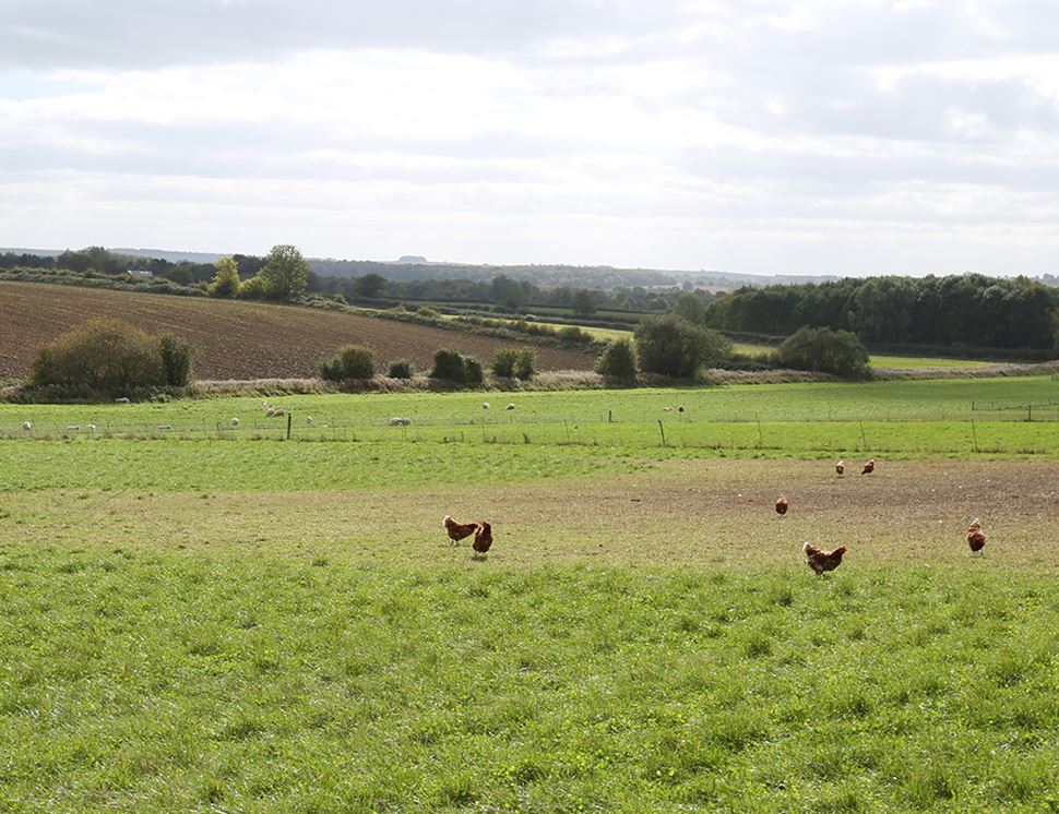 Daylesford Organic