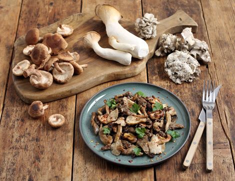 Organic Mushroom Subscription