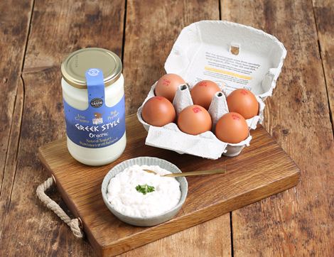 Protein Breakfast Bundle