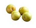 Yellow Plums