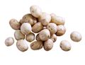 Salad Potatoes
