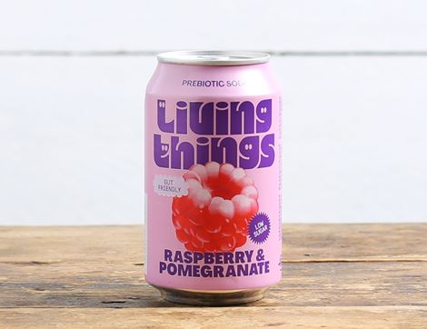 Raspberry & Pomegranate Soda, Non-Organic, Living Things (330ml)