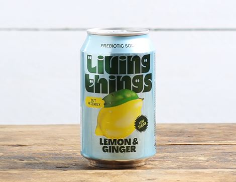 Lemon & Ginger Soda, Non-Organic, Living Things (330ml)